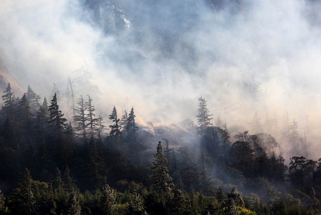 Wildfire Smoke And Your Health Health Information 2517